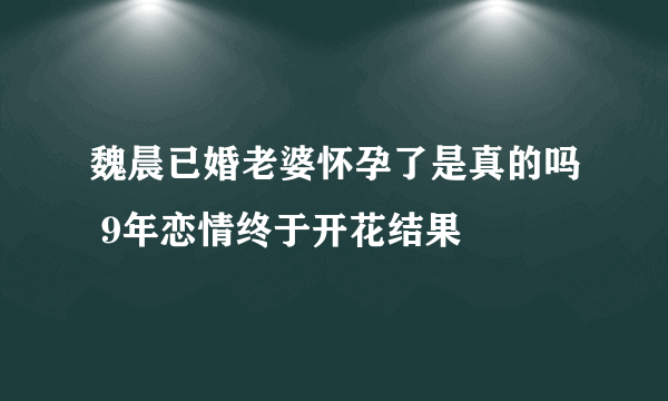 魏晨已婚老婆怀孕了是真的吗 9年恋情终于开花结果