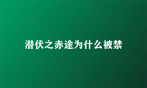 潜伏之赤途为什么被禁