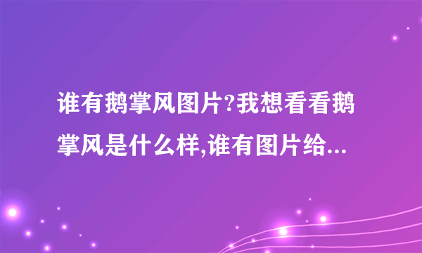 谁有鹅掌风图片?我想看看鹅掌风是什么样,谁有图片给我发过来好吗?