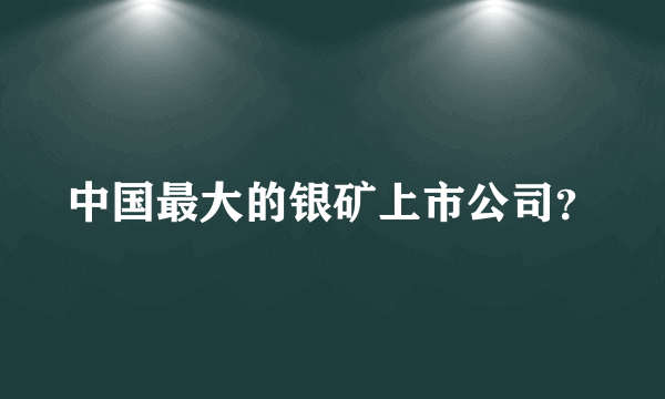 中国最大的银矿上市公司？