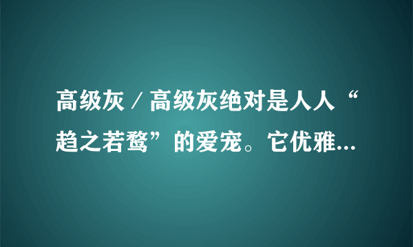 高级灰／高级灰绝对是人人“趋之若鹜”的爱宠。它优雅得让人沉醉...