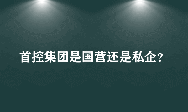 首控集团是国营还是私企？