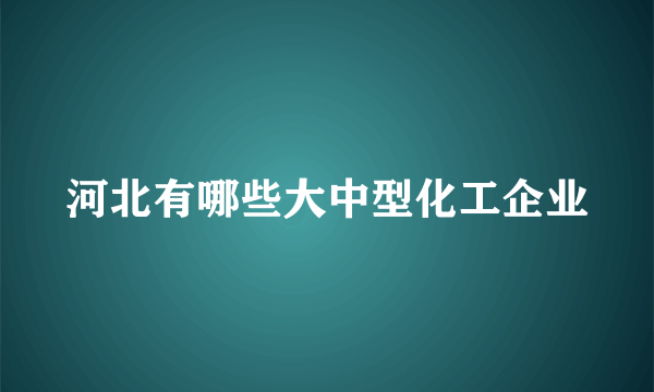 河北有哪些大中型化工企业