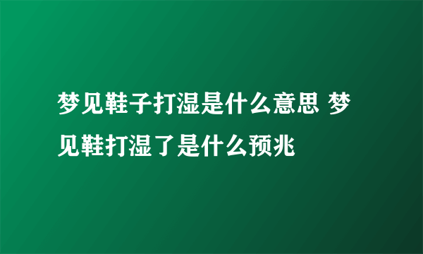 梦见鞋子打湿是什么意思 梦见鞋打湿了是什么预兆