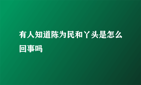 有人知道陈为民和丫头是怎么回事吗