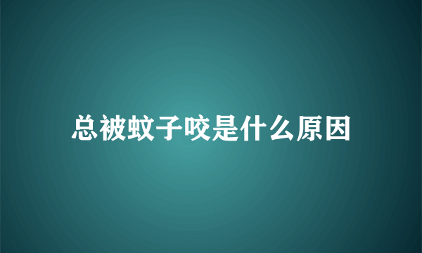 总被蚊子咬是什么原因