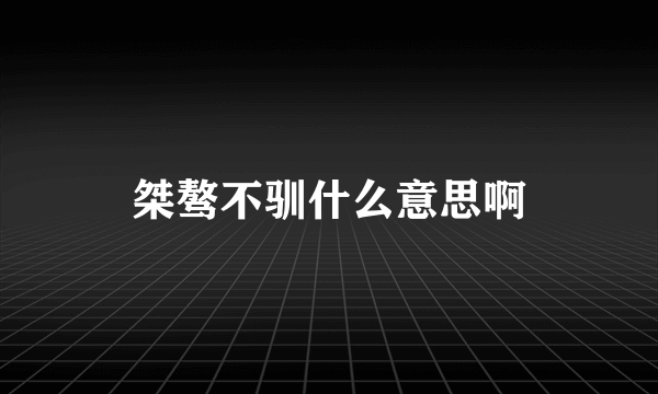 桀骜不驯什么意思啊