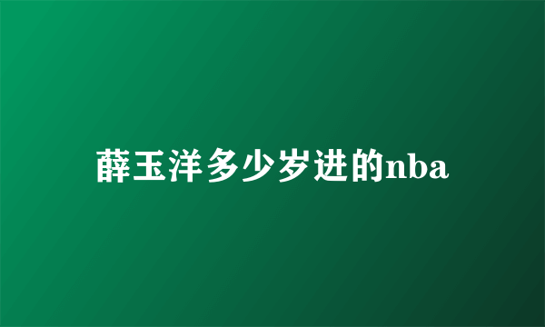 薛玉洋多少岁进的nba