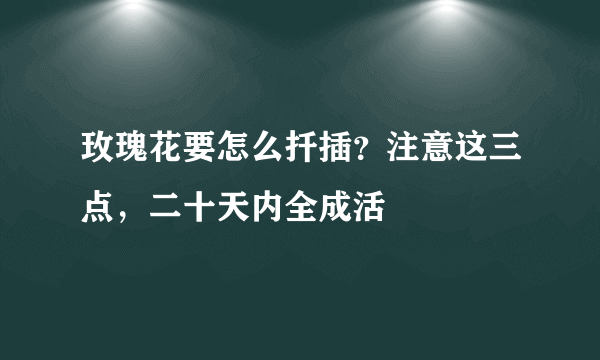 玫瑰花要怎么扦插？注意这三点，二十天内全成活