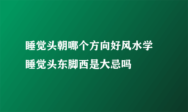 睡觉头朝哪个方向好风水学 睡觉头东脚西是大忌吗