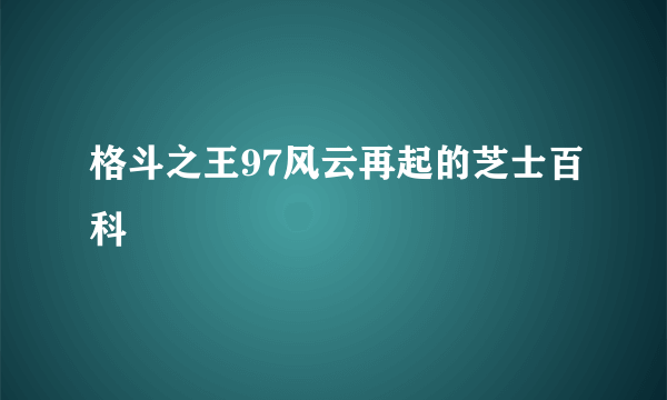 格斗之王97风云再起的芝士百科