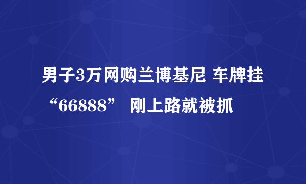 男子3万网购兰博基尼 车牌挂“66888” 刚上路就被抓