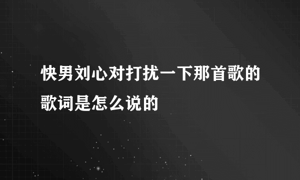 快男刘心对打扰一下那首歌的歌词是怎么说的