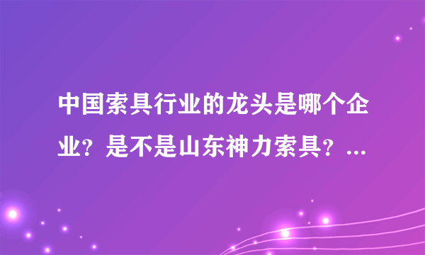 中国索具行业的龙头是哪个企业？是不是山东神力索具？听很多人说神力索具是中国索具业最信得过的企业。