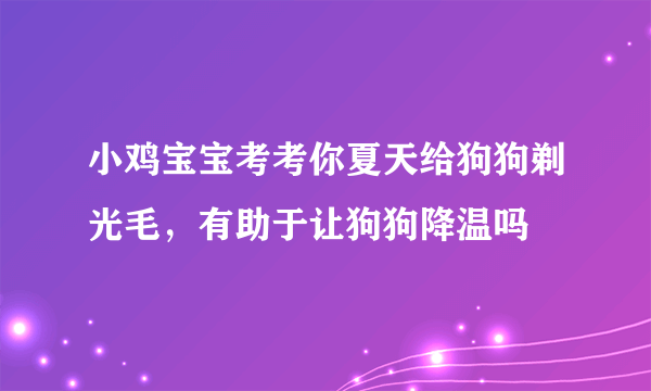 小鸡宝宝考考你夏天给狗狗剃光毛，有助于让狗狗降温吗