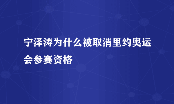 宁泽涛为什么被取消里约奥运会参赛资格