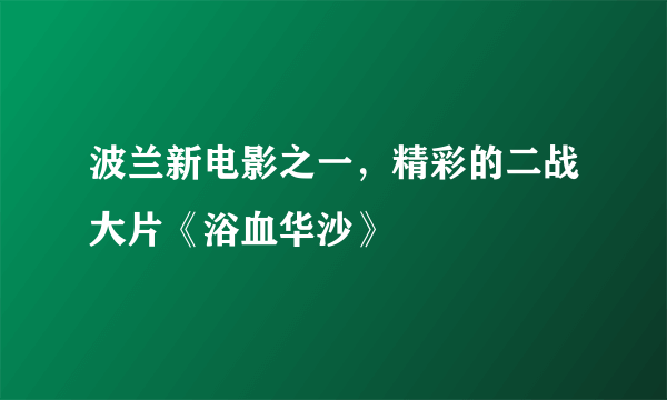 波兰新电影之一，精彩的二战大片《浴血华沙》