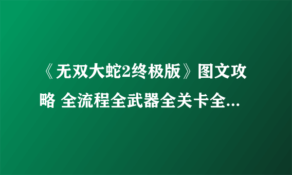 《无双大蛇2终极版》图文攻略 全流程全武器全关卡全角色解锁【游侠攻略组】