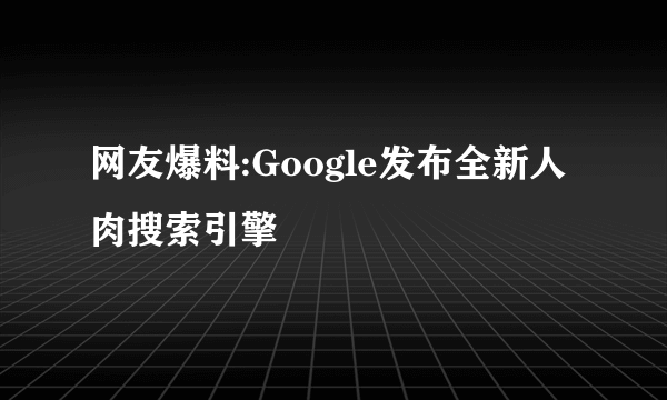 网友爆料:Google发布全新人肉搜索引擎