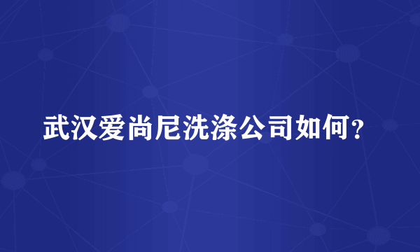 武汉爱尚尼洗涤公司如何？