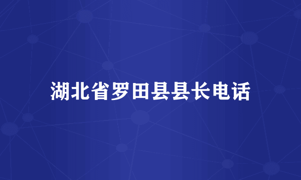 湖北省罗田县县长电话