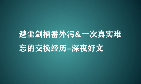 避尘剑柄番外污&一次真实难忘的交换经历-深夜好文