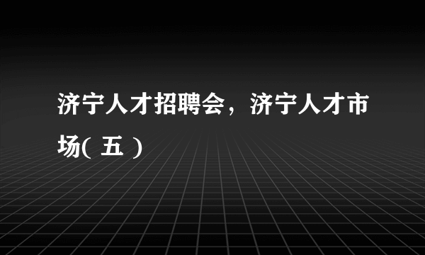 济宁人才招聘会，济宁人才市场( 五 )