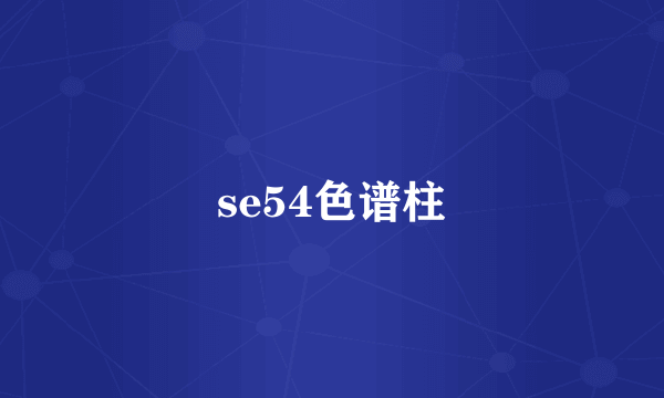 se54色谱柱