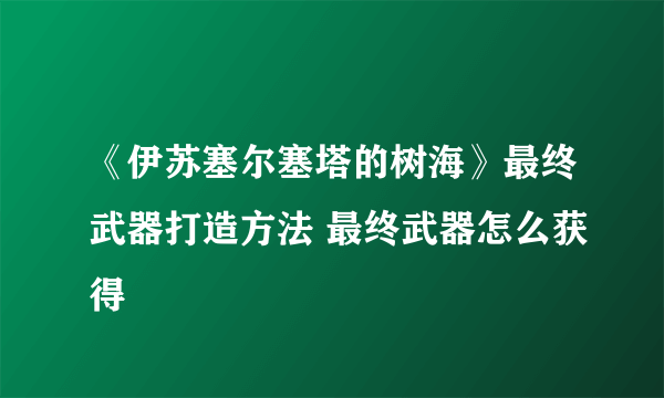 《伊苏塞尔塞塔的树海》最终武器打造方法 最终武器怎么获得