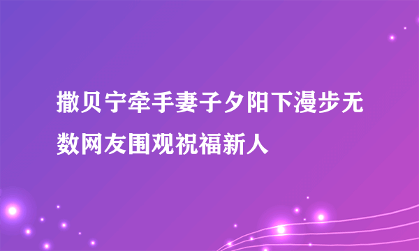 撒贝宁牵手妻子夕阳下漫步无数网友围观祝福新人