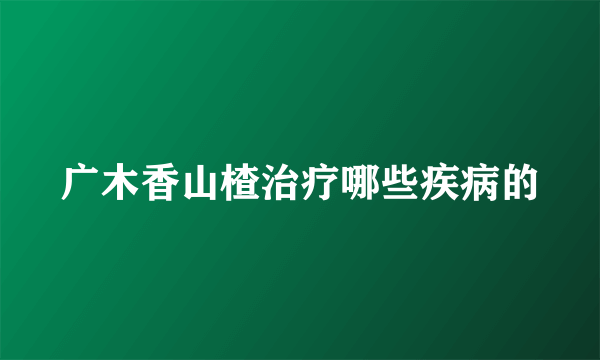 广木香山楂治疗哪些疾病的