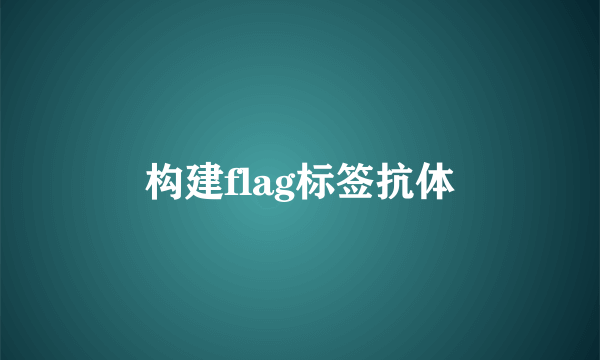 构建flag标签抗体