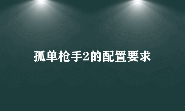 孤单枪手2的配置要求