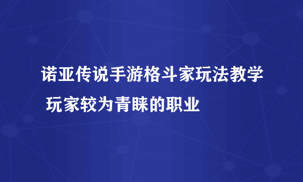 诺亚传说手游格斗家玩法教学 玩家较为青睐的职业