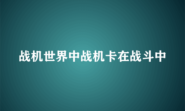 战机世界中战机卡在战斗中