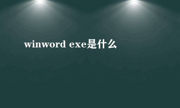 winword exe是什么