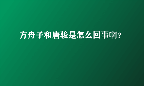 方舟子和唐骏是怎么回事啊？