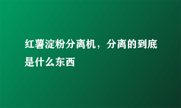 红薯淀粉分离机，分离的到底是什么东西