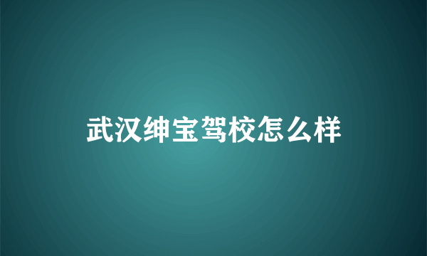 武汉绅宝驾校怎么样