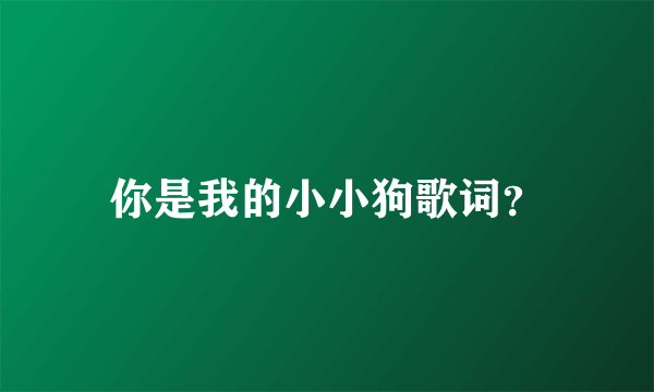 你是我的小小狗歌词？