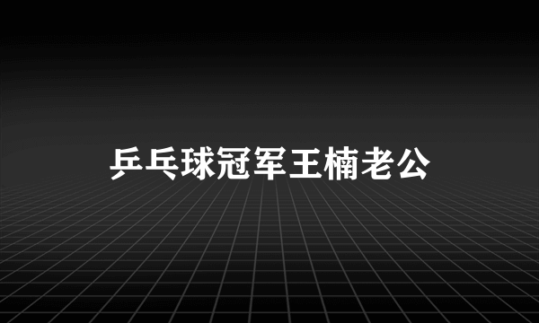 乒乓球冠军王楠老公