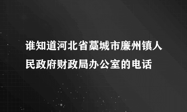 谁知道河北省藁城市廉州镇人民政府财政局办公室的电话