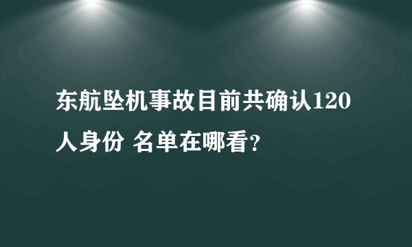 东航坠机事故目前共确认120人身份 名单在哪看？