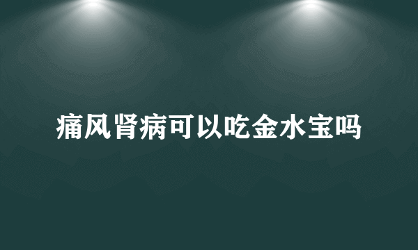 痛风肾病可以吃金水宝吗