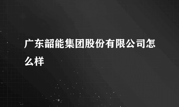 广东韶能集团股份有限公司怎么样