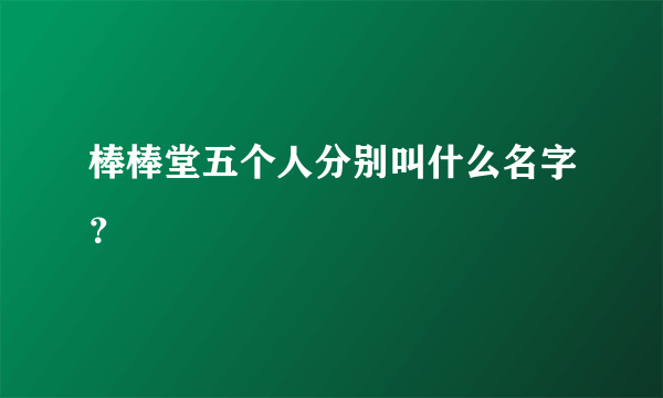 棒棒堂五个人分别叫什么名字？