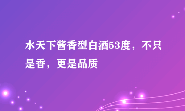 水天下酱香型白酒53度，不只是香，更是品质