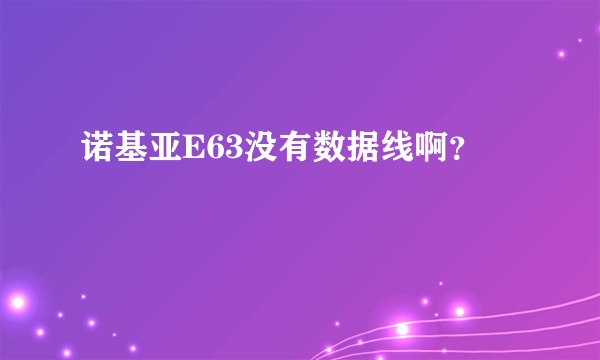 诺基亚E63没有数据线啊？