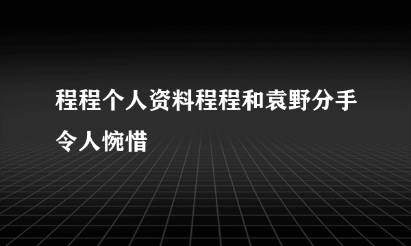 程程个人资料程程和袁野分手令人惋惜