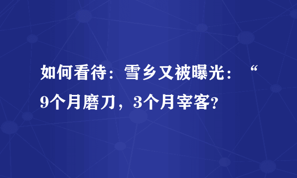 如何看待：雪乡又被曝光：“9个月磨刀，3个月宰客？